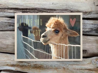 Alpaca Greeting Cards