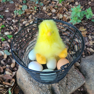 5" Fur Alpaca Yellow Chick Toys