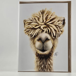 Alpaca Greeting Card - Coolpaca Gift Card
