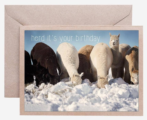 Alpaca Greeting Card - Herd It's Your Birthday - Purely Alpaca