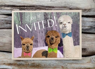 Alpaca Greeting Card - You're Invited - Purely Alpaca