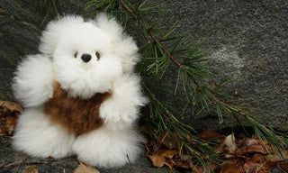 Alpaca Pocket Teddy Bears Toys Mixed