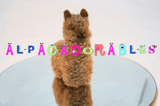 Alpacadorable Hand Made Baby Alpaca Ornaments Holiday