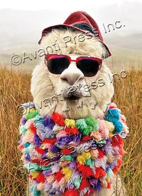 Avanti Alpaca Greeting Card - Fedora Dude Birthday