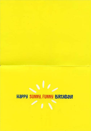 Avanti Alpaca Greeting Card - Happy Sunny, Funny Birthday - Purely Alpaca