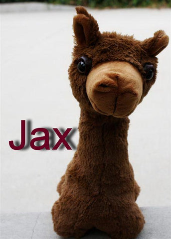PacaBuddies Stuffed Alpaca Toys Toys Jax 