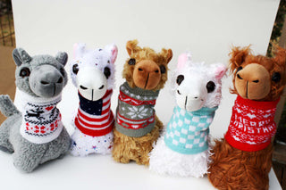 PacaBuddies Sweater Accessories Toys