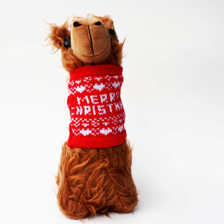 PacaBuddies Sweater Accessories Toys Merry Christmas