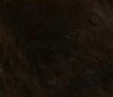 Soft Touch Therapeutic Alpaca Socks Socks Small Dark Brown