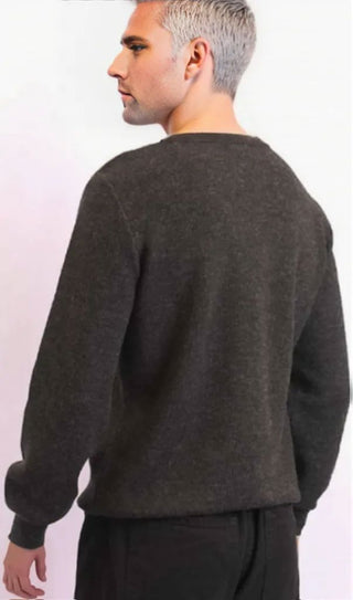 Watchful Sire 100% Baby Alpaca Mens Sweater Sweater