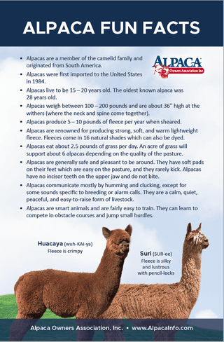 Alpaca Fun Facts - Purely Alpaca