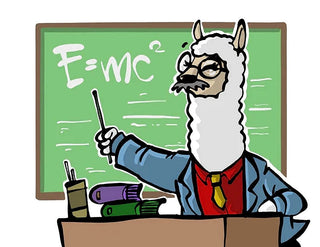Alpaca - the Smarter Wool - Purely Alpaca