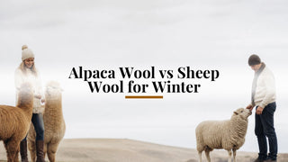 Alpaca Wool vs Sheep Wool for Winter - Purely Alpaca
