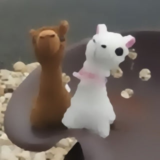 Jax and Lovey the PacaBuddies go on a Road Trip! - Purely Alpaca