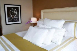 PurelyAlpaca Announces 100% Natural Alpaca Bed Pillows - Purely Alpaca
