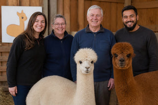 Where to Buy High Quality Alpaca: 2026 Guide