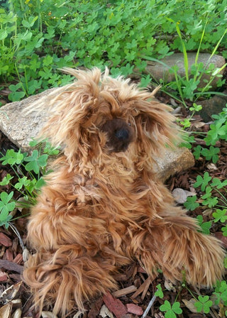 12inchSuriBear_brown-12" Suri Alpaca Teddy Bears