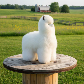 17" Standing Fur Alpaca Toy - Choice Alpaca Products-17inchStndFurToy_white