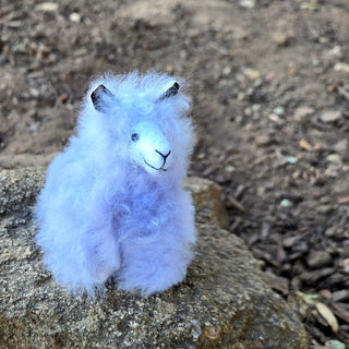 3" Mini-Paca - Choice Alpaca Products-3inchMini-Paca_purple