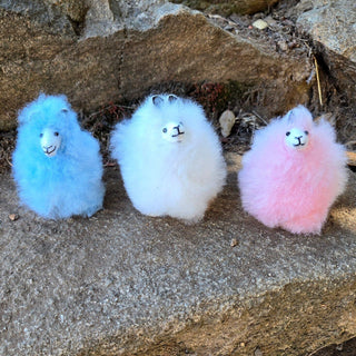 3inchMini-Paca_white-3" Mini-Paca