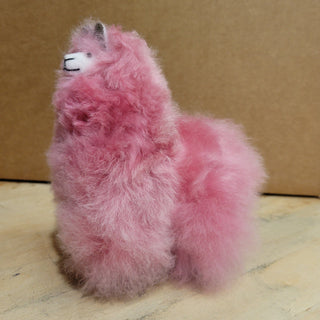 Alpaca Beauty Brush - Choice Alpaca Products-AE-BeautyBrush