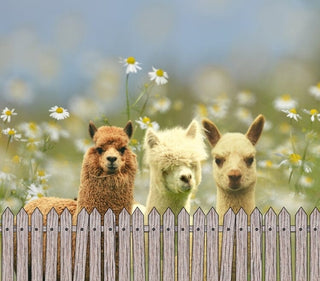 Tumbler3-Alpaca Drink Tumbler