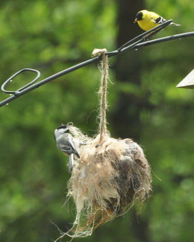 Alpaca Fleece-filled Bird Nesting Ball® - Purely Alpaca