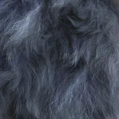 Alpaca Fuzzball Keychain Fun Purple 