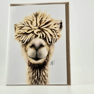Alpaca Greeting Card - CoolPaca - Choice Alpaca Products-coolpaca-greetingcard