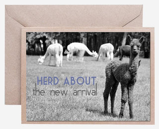 card_newarrival-Alpaca Greeting Card - Herd About the New Arrival
