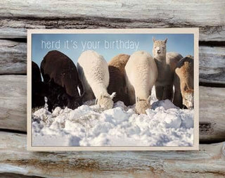 card_birthday-Alpaca Greeting Card - Herd It's Your Birthday