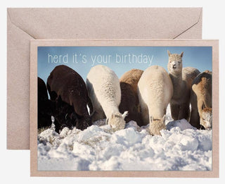 card_birthday-Alpaca Greeting Card - Herd It's Your Birthday