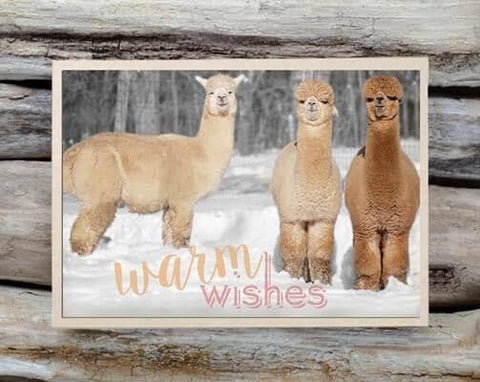 Alpaca Greeting Card - Warm Wishes - Purely Alpaca