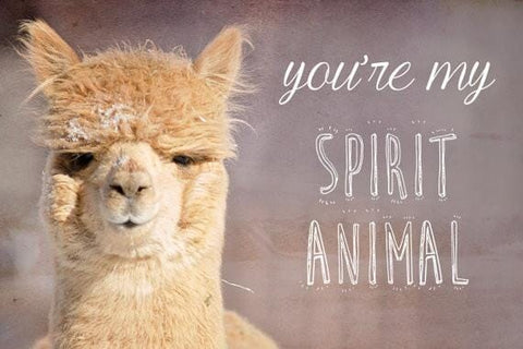 Alpaca Greeting Card - You're my Spirit Animal - Purely Alpaca