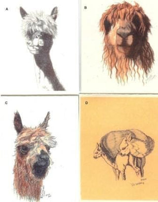 DV GiftCards-a-Alpaca Greeting Cards by Dee