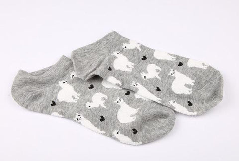 Alpaca Love No-Show Cotton Socks Socks 