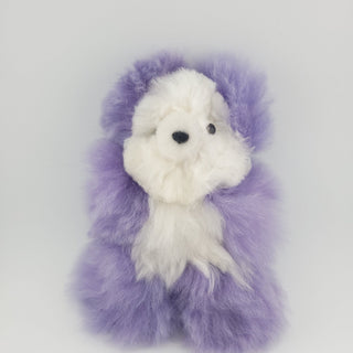 Alpaca Pocket Teddy Bears - Choice Alpaca Products-PocketBear_mixedcolorful