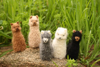 Alpacadorable Hand Made Baby Alpaca Ornaments - Choice Alpaca Products-AK_ornament-white