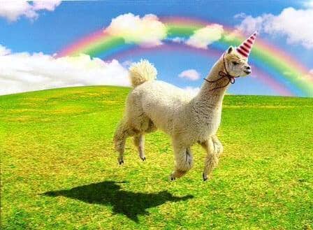 Avanti Alpaca Greeting Card - Alpaca Unicorn - Birthday - Purely Alpaca
