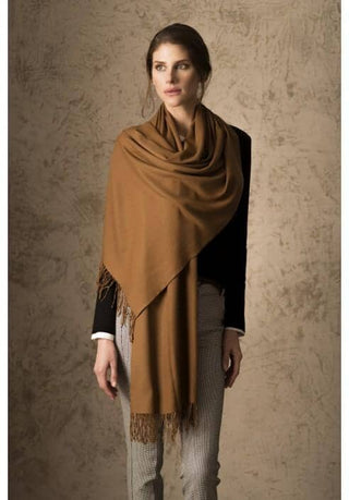 AC_D600021P010-burdeo-BELLINZONA 100% Vicuna Shawl
