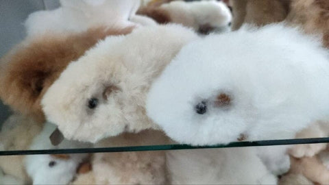Fur Alpaca Guinea Pig ("Cuy") Toys 