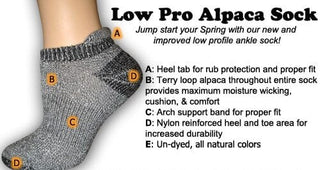Low Pro Alpaca ANKLE Sock - Choice Alpaca Products-0112F-SM-ltgryblk