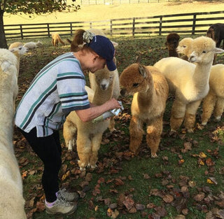 Mary's Amazing Alpaca POOP Plant Fertilizer - Purely Alpaca