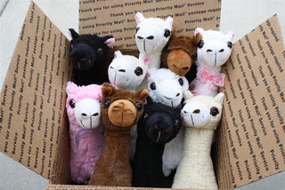 PacaBuddies Stuffed Alpaca Toys Toys 