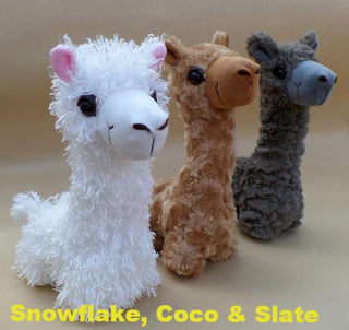 PacaBuddies Stuffed Alpaca Toys Toys 