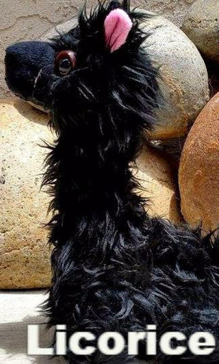 PacaBuddies Stuffed Alpaca Toys Toys Licorice 