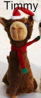 PacaBuddies Stuffed Alpaca Toys Toys Timmy 