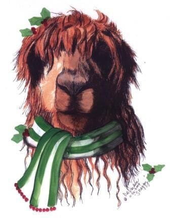 Shaggy Christmas Alpaca Greeting Card by Dee - Purely Alpaca