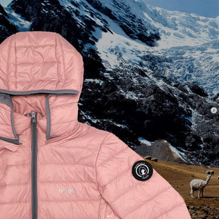 Women's Alpafill Puffer Alpaca Jacket - Choice Alpaca Products-WOMALPMAUHPUPRKXS